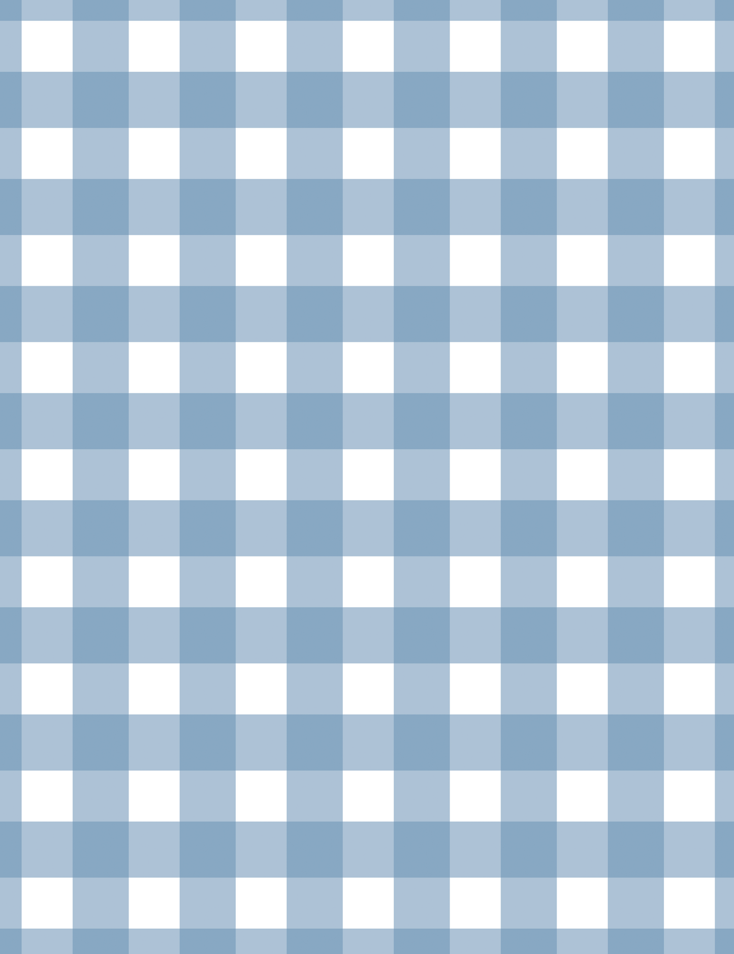 Carta Regalo - Blue Vichy (n.2 fogli)