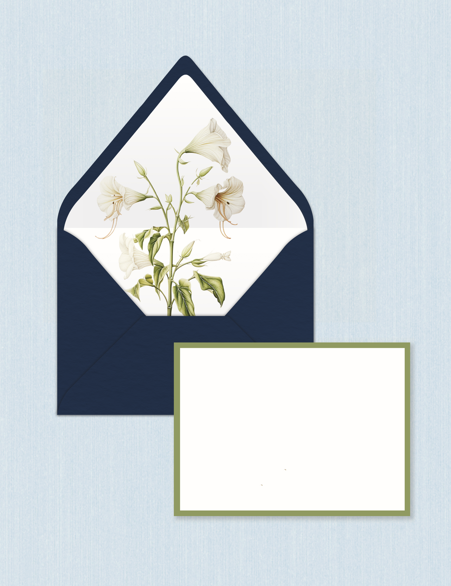 Cobalt Magnolia - Border Cards (Set da n.5)