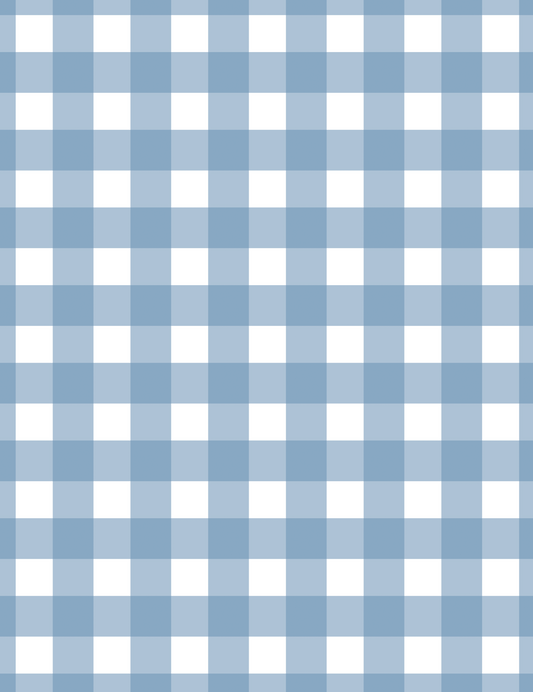 Carta Regalo - Blue Vichy (n.2 fogli)