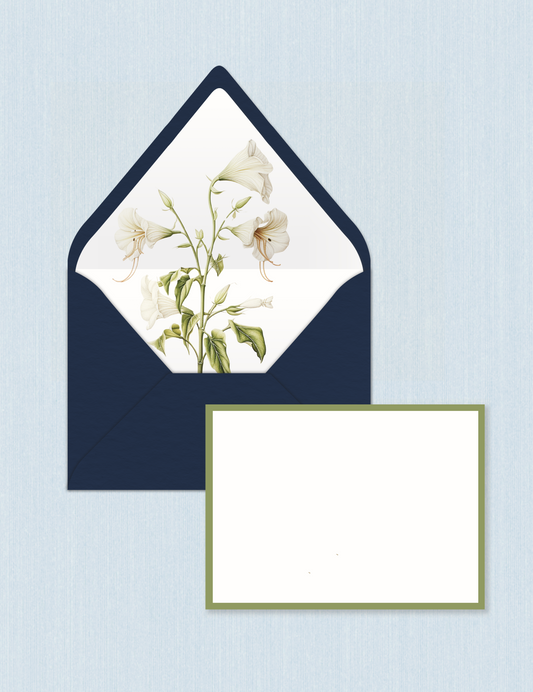 Cobalt Magnolia - Border Cards (Set da n.5)